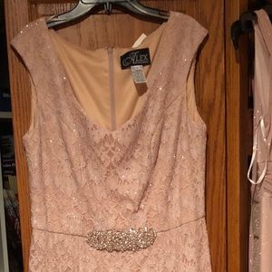 Alex Evenings Blush Floor Length Dress. Size 12